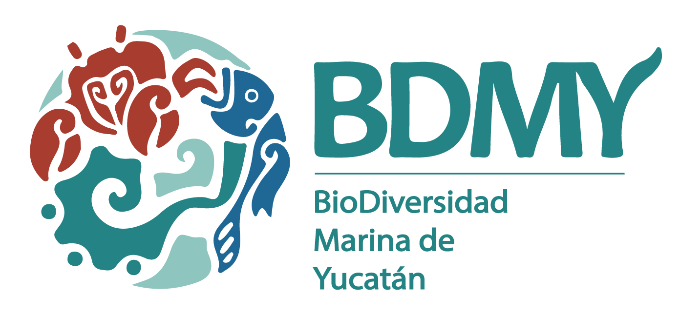 BioDiversidad Marina de Yucatán