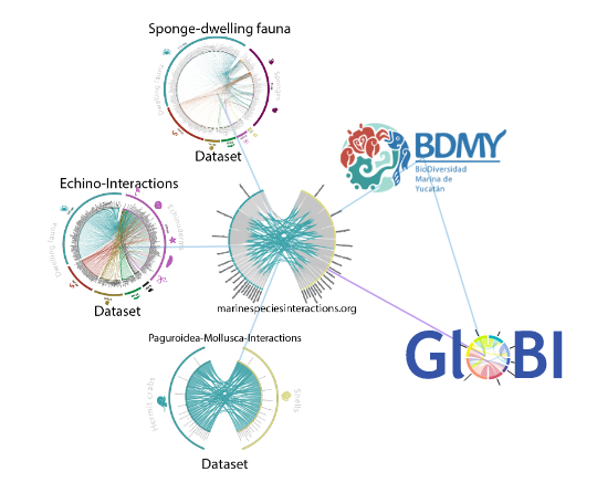 Symbiotic BDMY GloBI Partnership