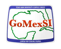 GoMexSI Logo