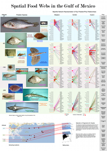 Spatial Food Webs in the Gulf of Mexico